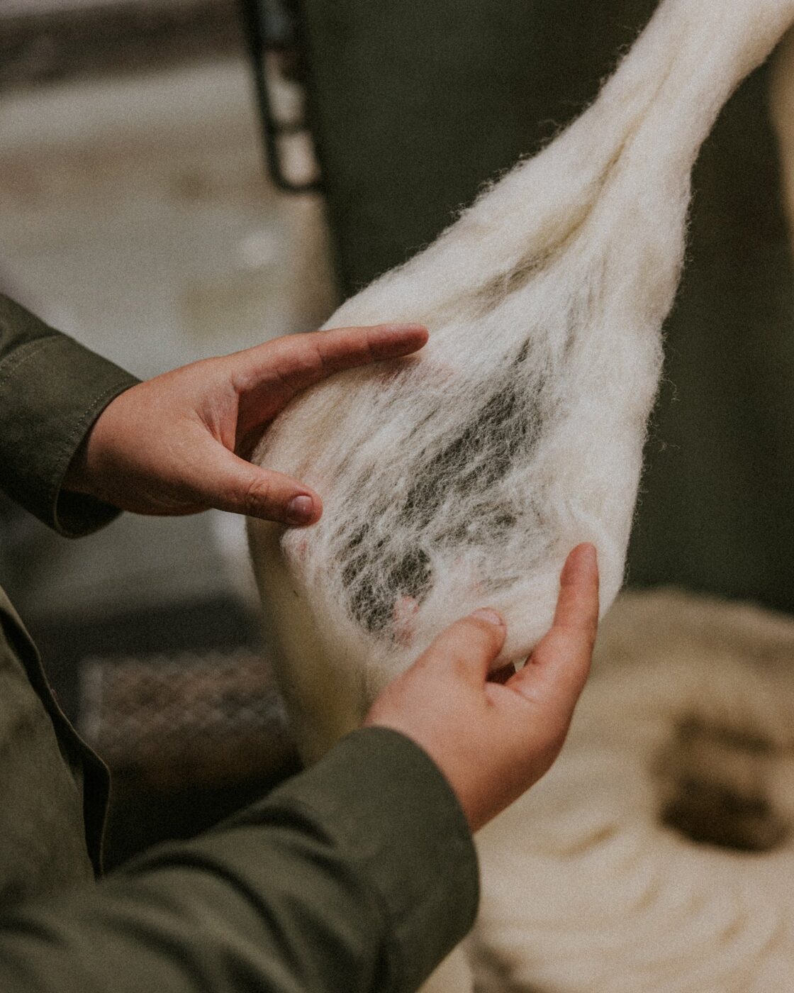 Hands examining a length of raw fibre for quality and texture